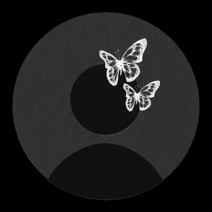 cute no dp images download 1 1