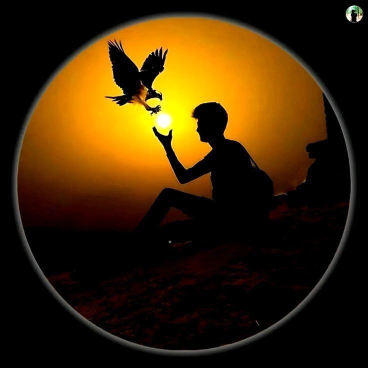 Trending Black DP Photos Collection for Social Profiles 5 cool black profile picture 3