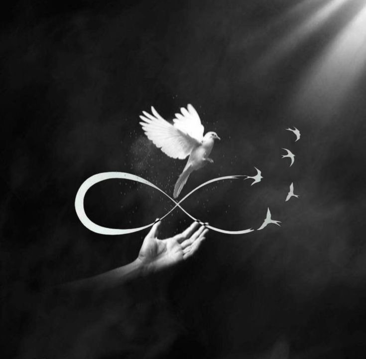 Trending Black DP Photos Collection for Social Profiles 29 dp black colour 5