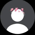 No DP image for WhatsApp profile privacy style