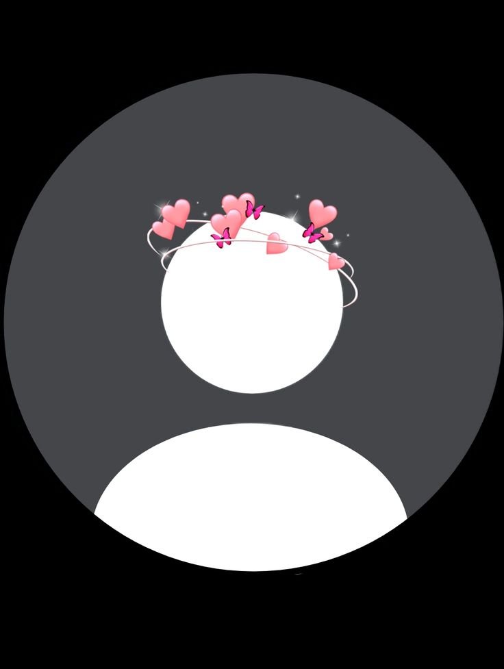 No DP image for WhatsApp profile privacy style