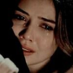 No Love DP Trending in 2026?