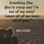 cute instagram captions for couples quote10.jpg