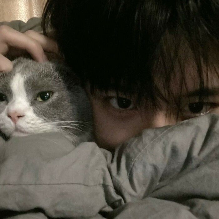Cute Cat PFP Ideas & Best Cat Photos for Profile Pics 14 Cute Cat PFP for Boys