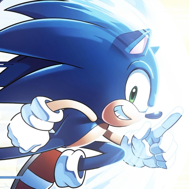 Fan Art Sonic PFP
