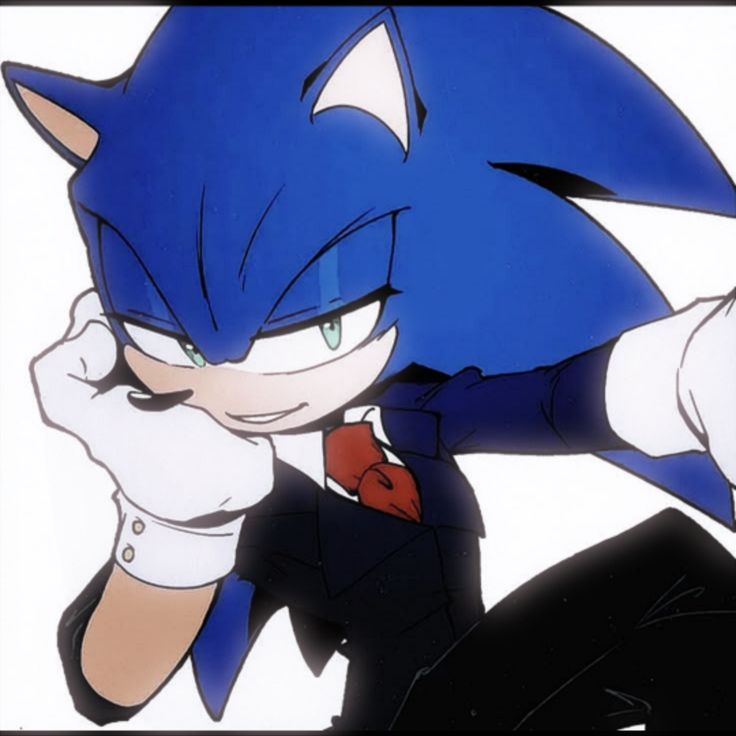 Sonic PFP for Every Fan